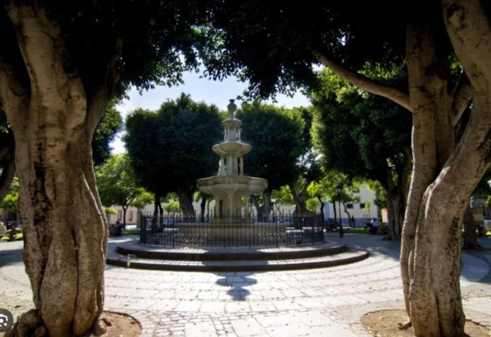 4 La Laguna, Centrico Y Acogedor La Laguna  Eksteriør bilde